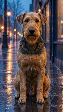Airedale Terrier